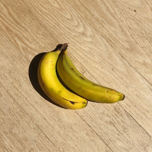 Meet your Posher, Delphine - Picture 1 of 1